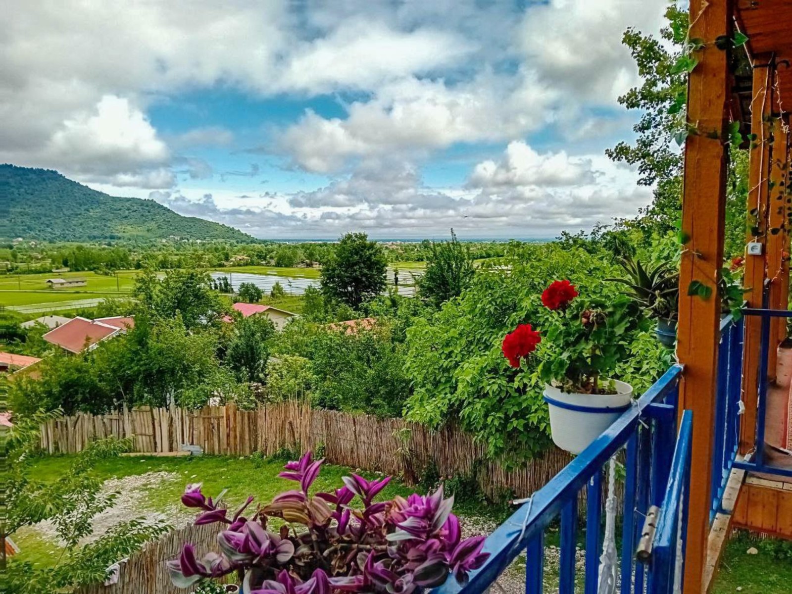 نمای بیرونی ساختمان نمای بیرونی ساختمان