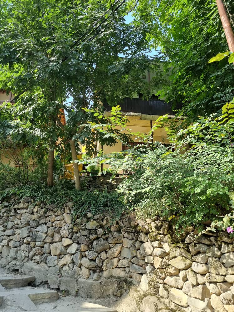 نمای کلی