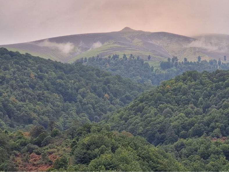 نمای بیرونی ساختمان نمای بیرونی ساختمان