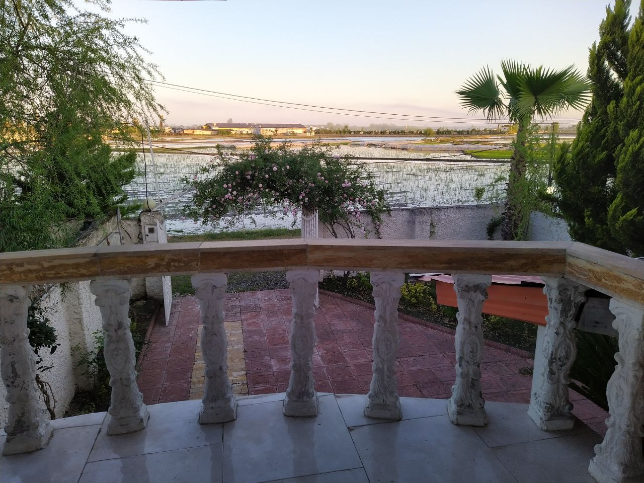 نمای روبرو (ویو)