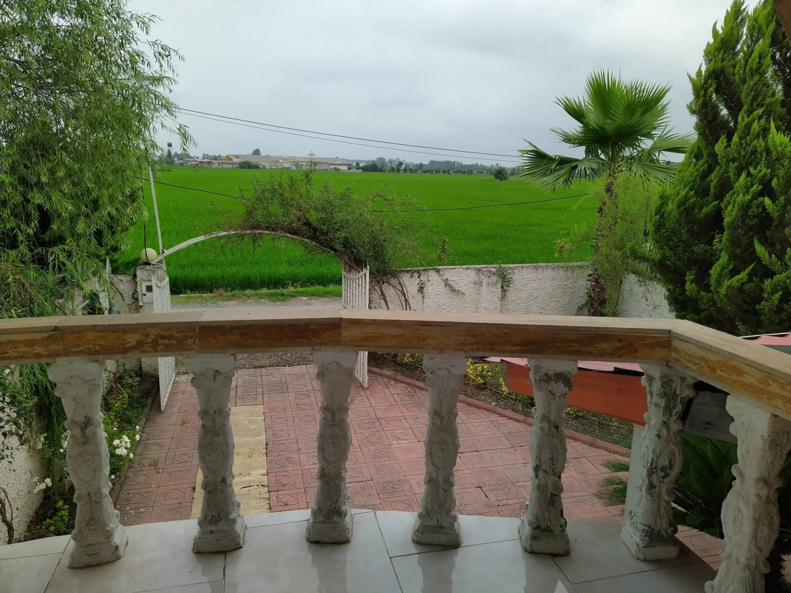 چشم انداز تابستانه بالکن