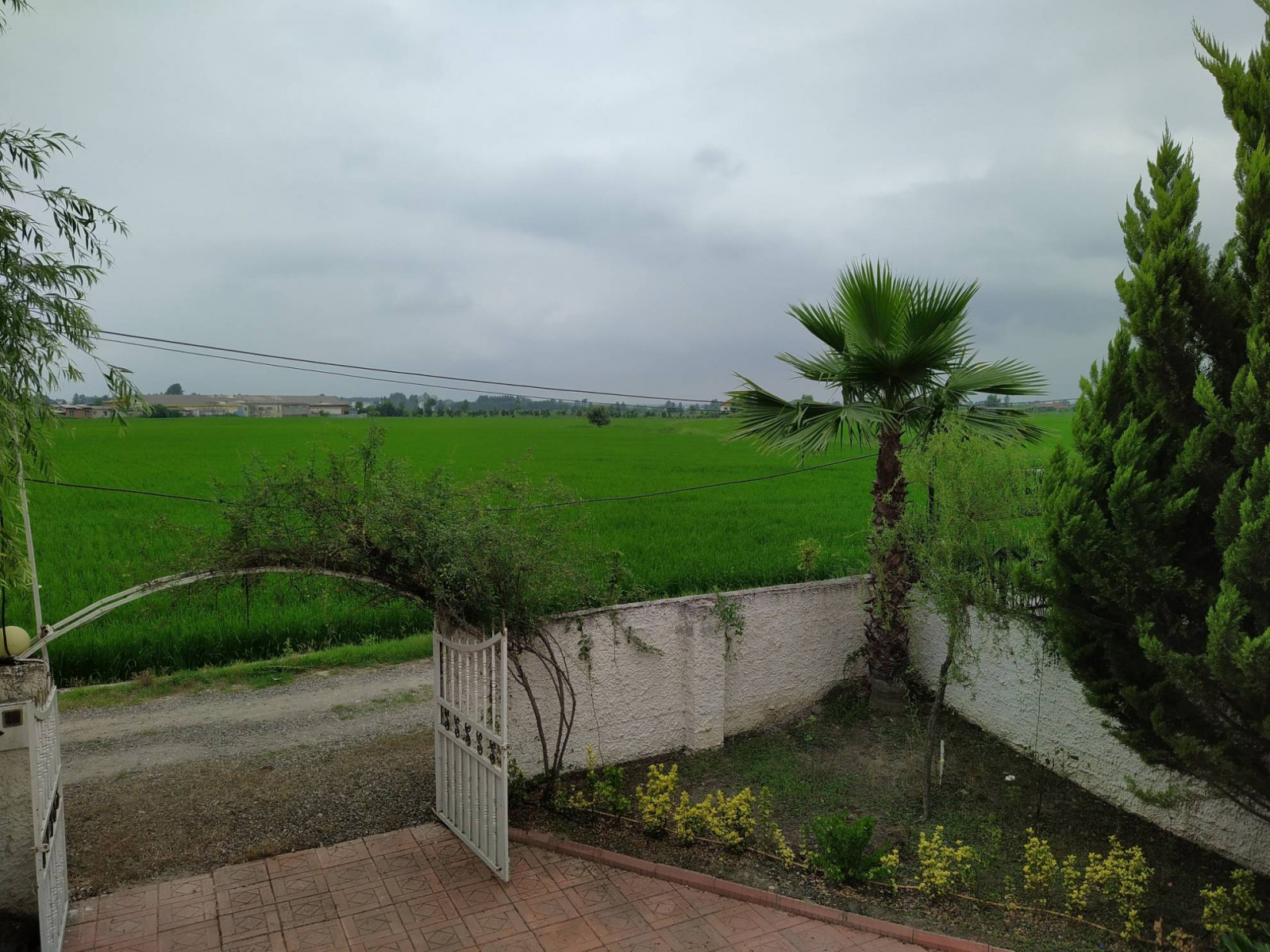 چشم انداز تابستانه