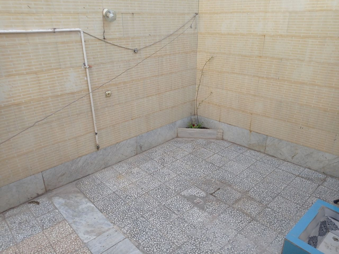 حیاط