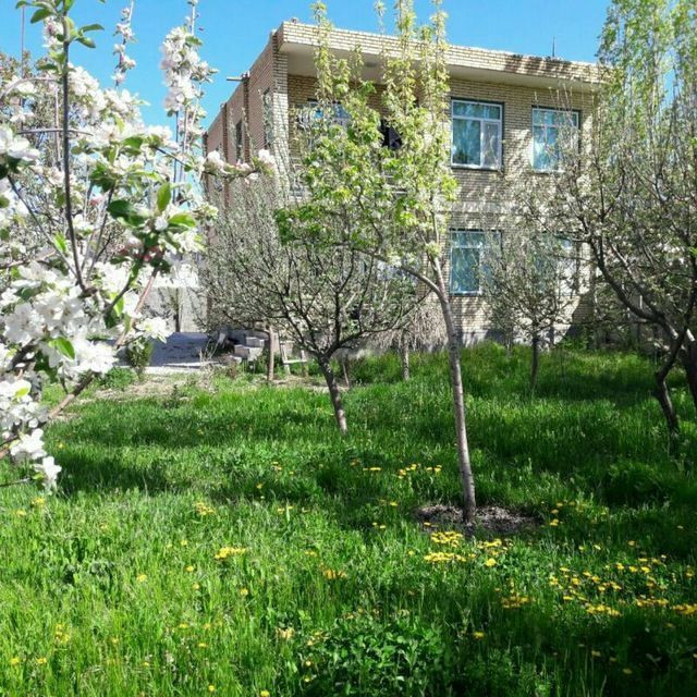نمای ساختمان و محوطه