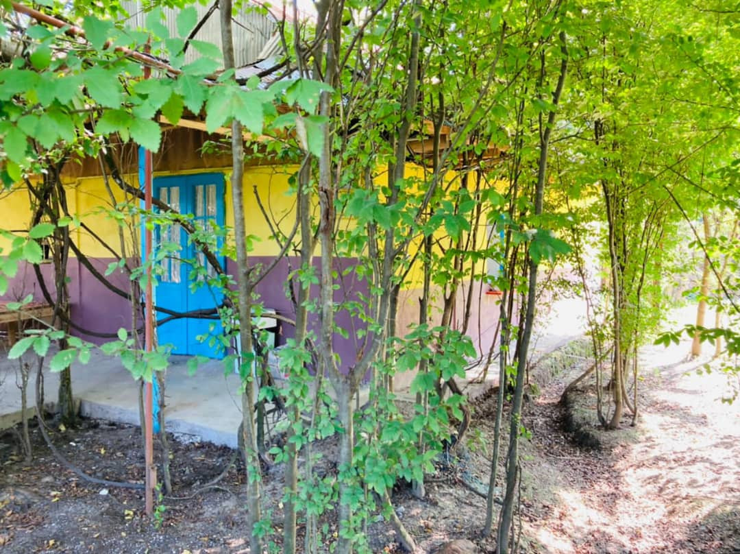 محوطه محوطه