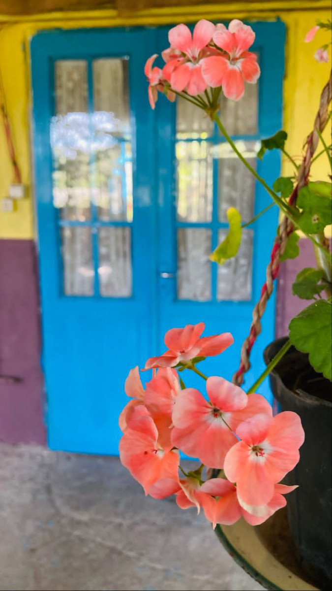 ورودی ورودی