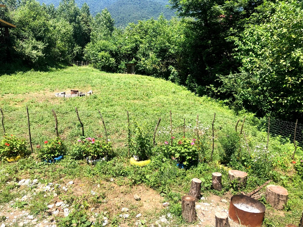 ویو سمت چپ کلبه از تراس