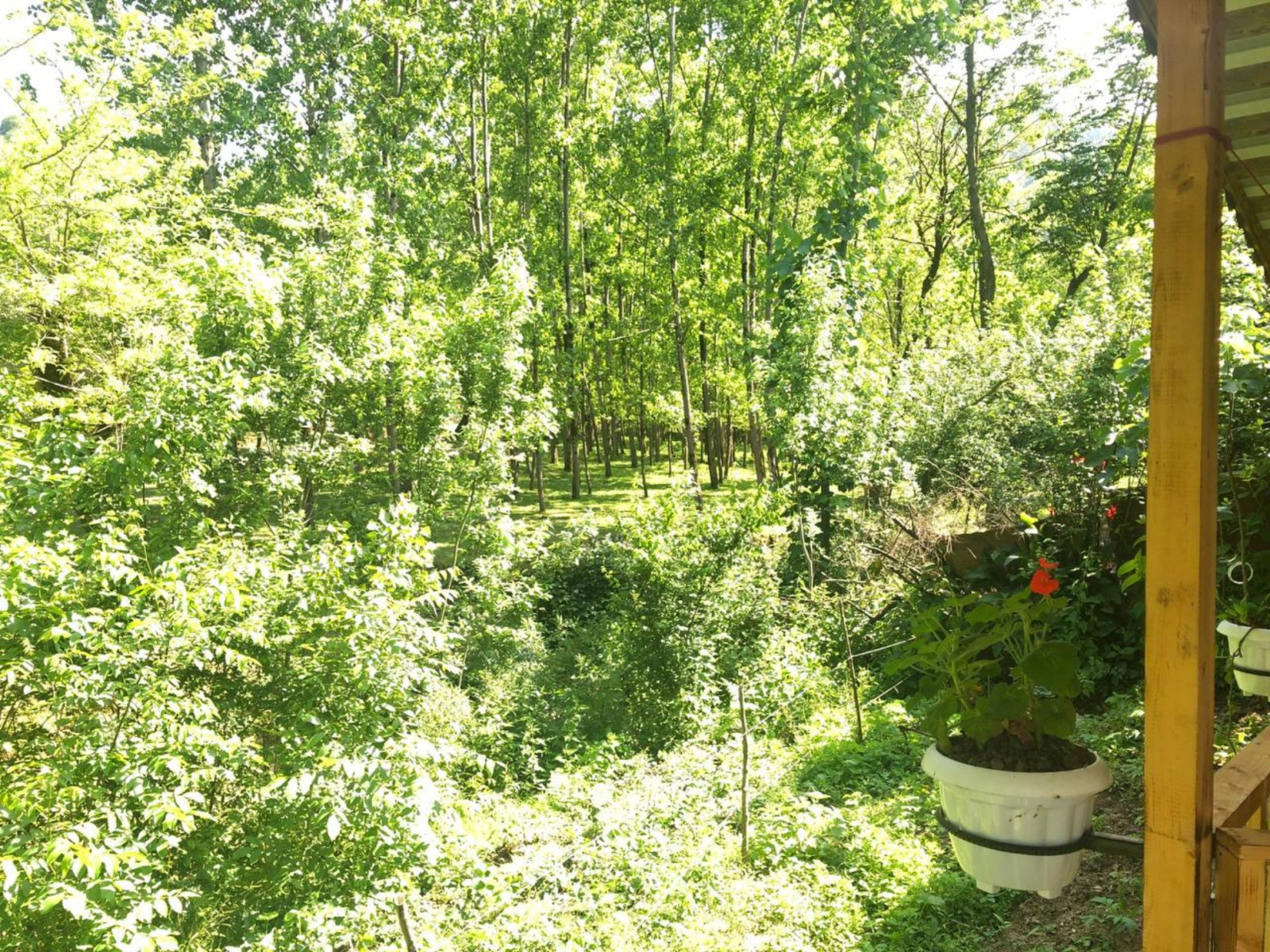 ویو ازورودی تراس