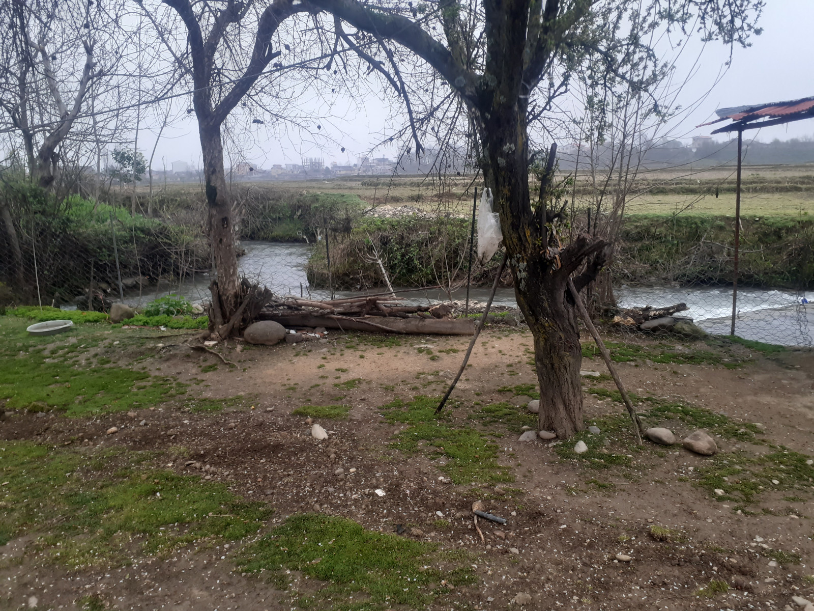 محوطه محوطه