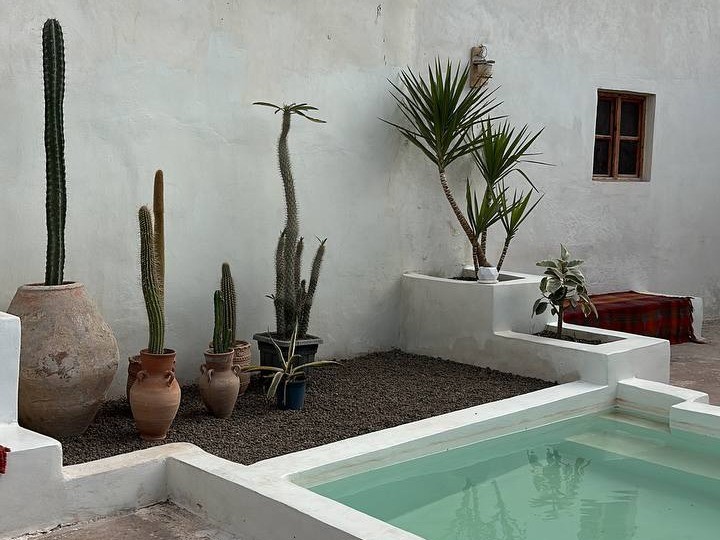 حیاط مشترک حیاط مشترک