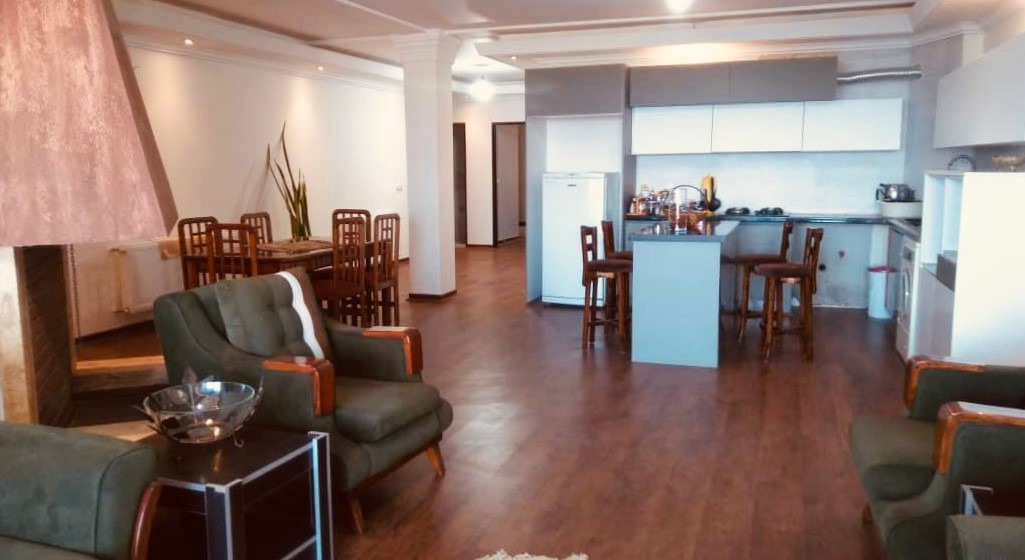 اتاق پذیرایی و آشپزخانه