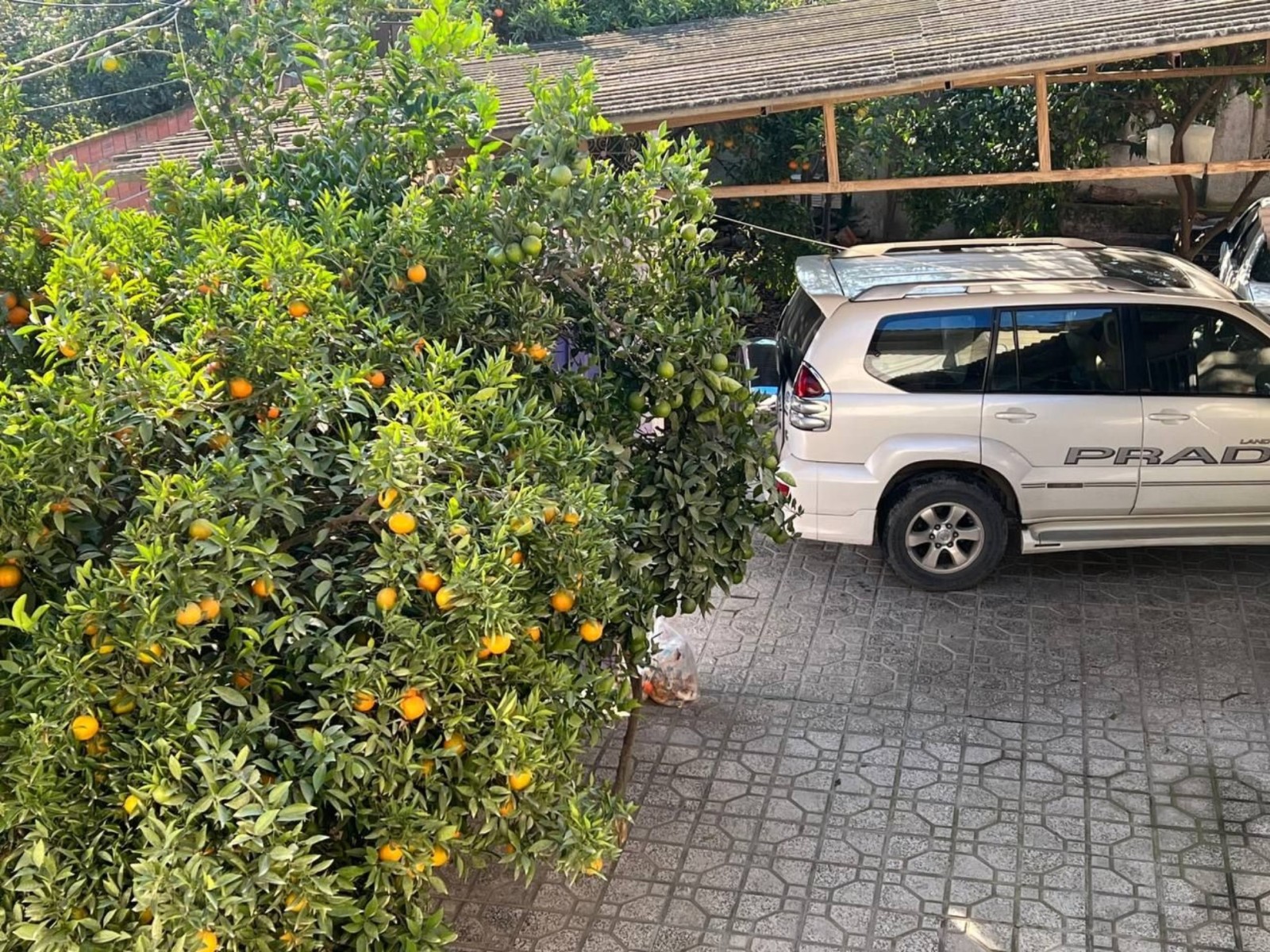 نمای بیرونی ساختمان