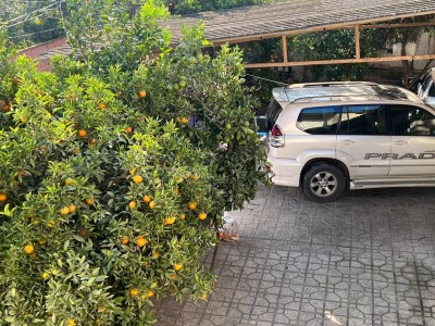 واحد تک خواب در بندر گز