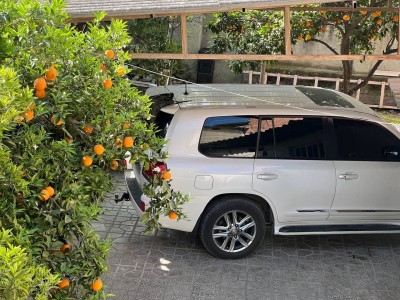 واحد تک خواب در بندر گز