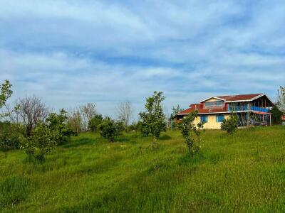 باغ ویلا گیل‌وا با استخر ماهیگیری و منظره شالیزار