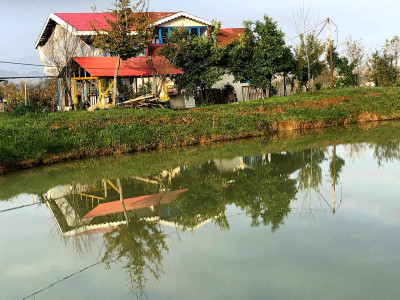 باغ ویلا گیل‌وا با استخر ماهیگیری و منظره شالیزار