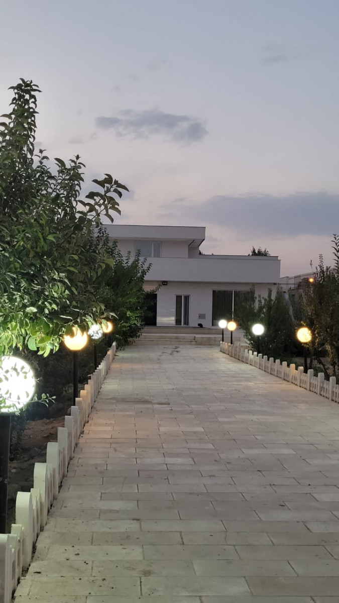 حیاط