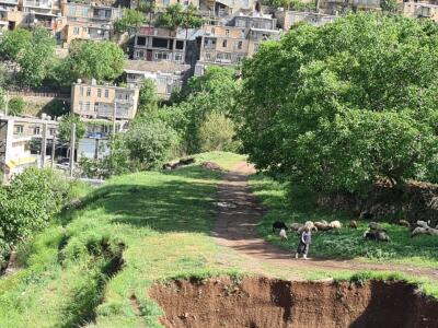 تک خواب آپارتمانی در دوریسان منطقه ای خوش آب و هوا