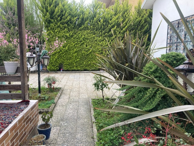 حیاط حیاط