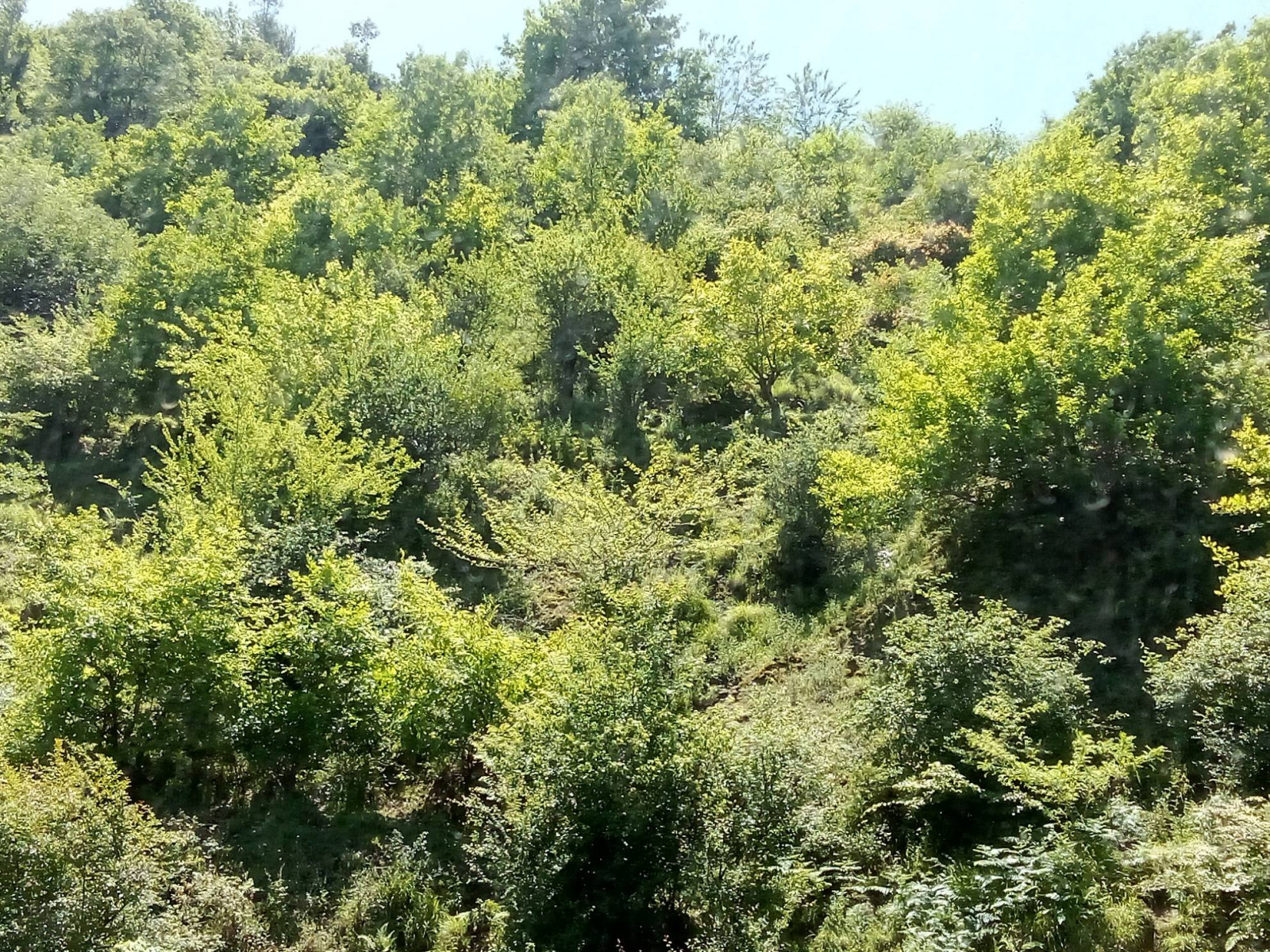 نمای بیرونی ساختمان