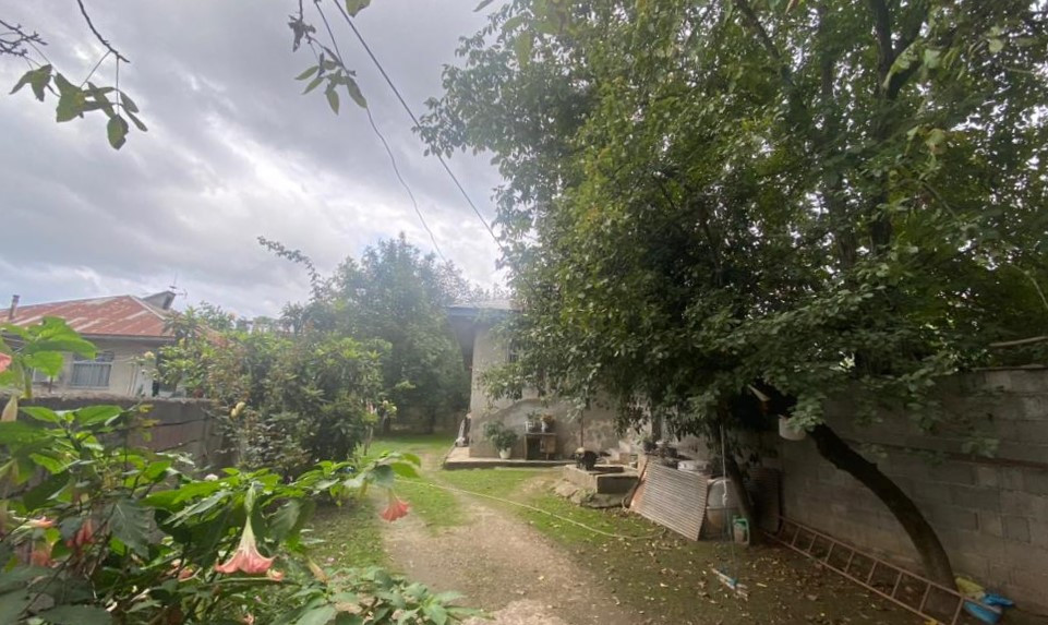 محوطه محوطه