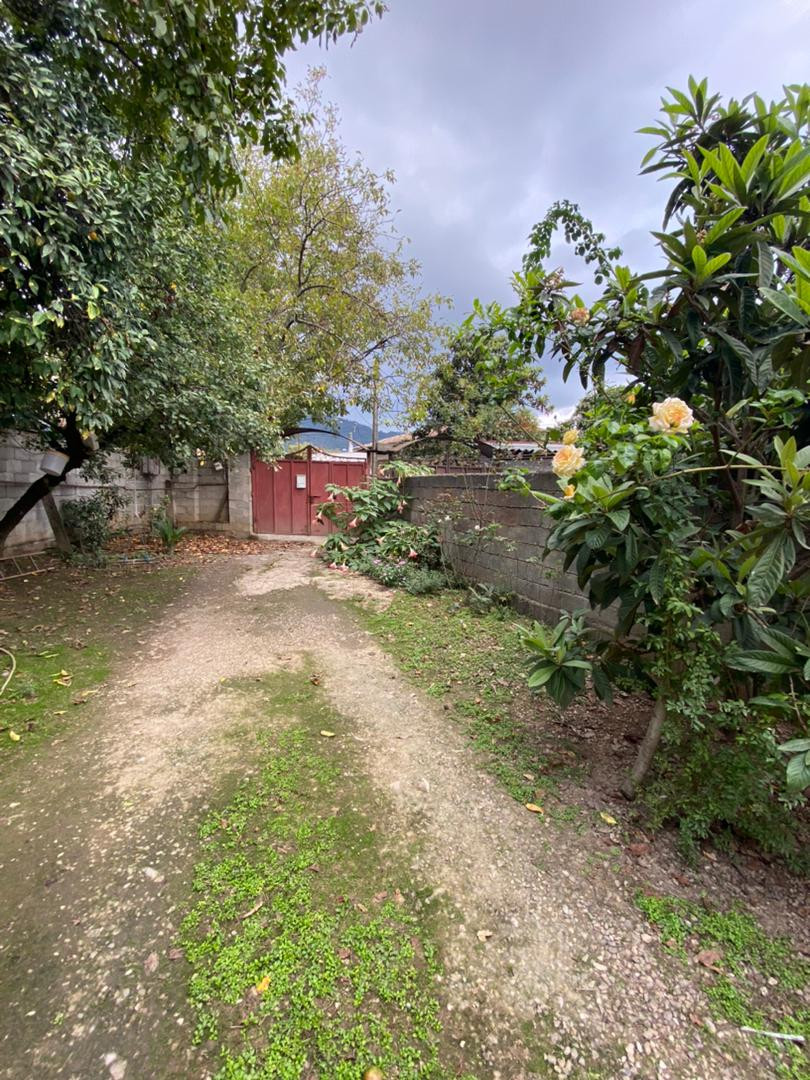 محوطه محوطه