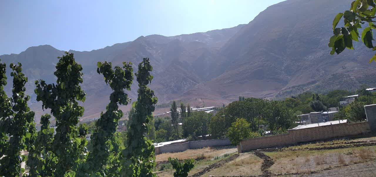 ویوی خانه