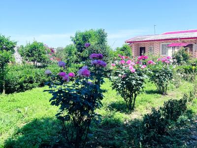 واحد ویلایی تک خوابه، مرجان 2