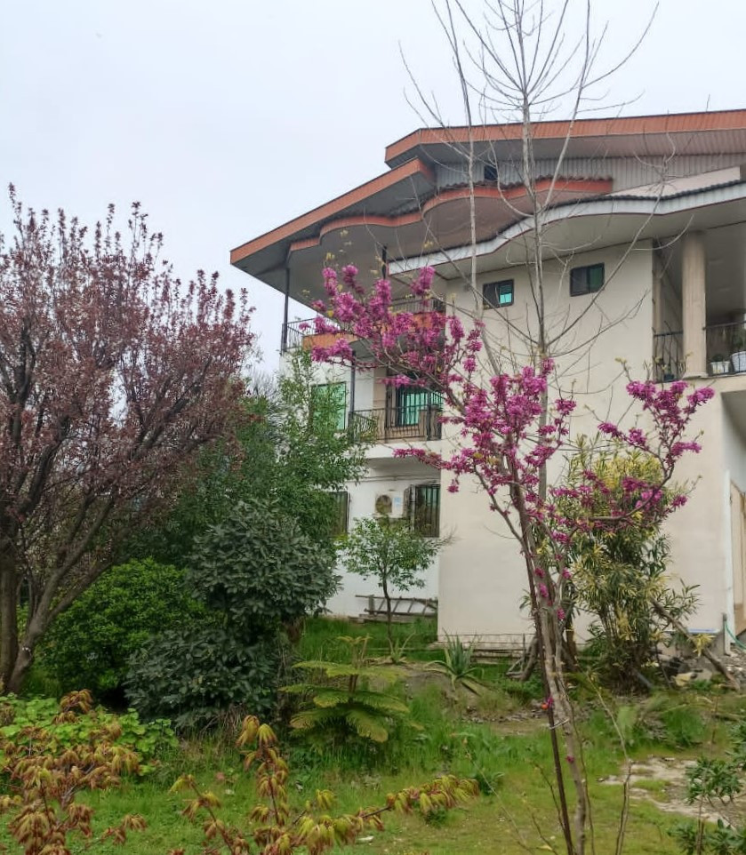 نمای ساختمان نمای ساختمان