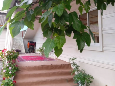 ویلای جنگلی دنج یک خوابه با دسترسی مطلوب