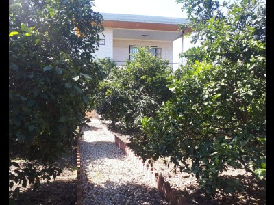 خونه باغ کوچه بهشت