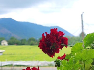 دوبلکس دوخوابه درمنطقه ای خوش آب و هوا دوبلکس دوخوابه درمنطقه ای خوش آب و هوا