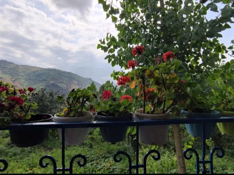 ویوی بالکن