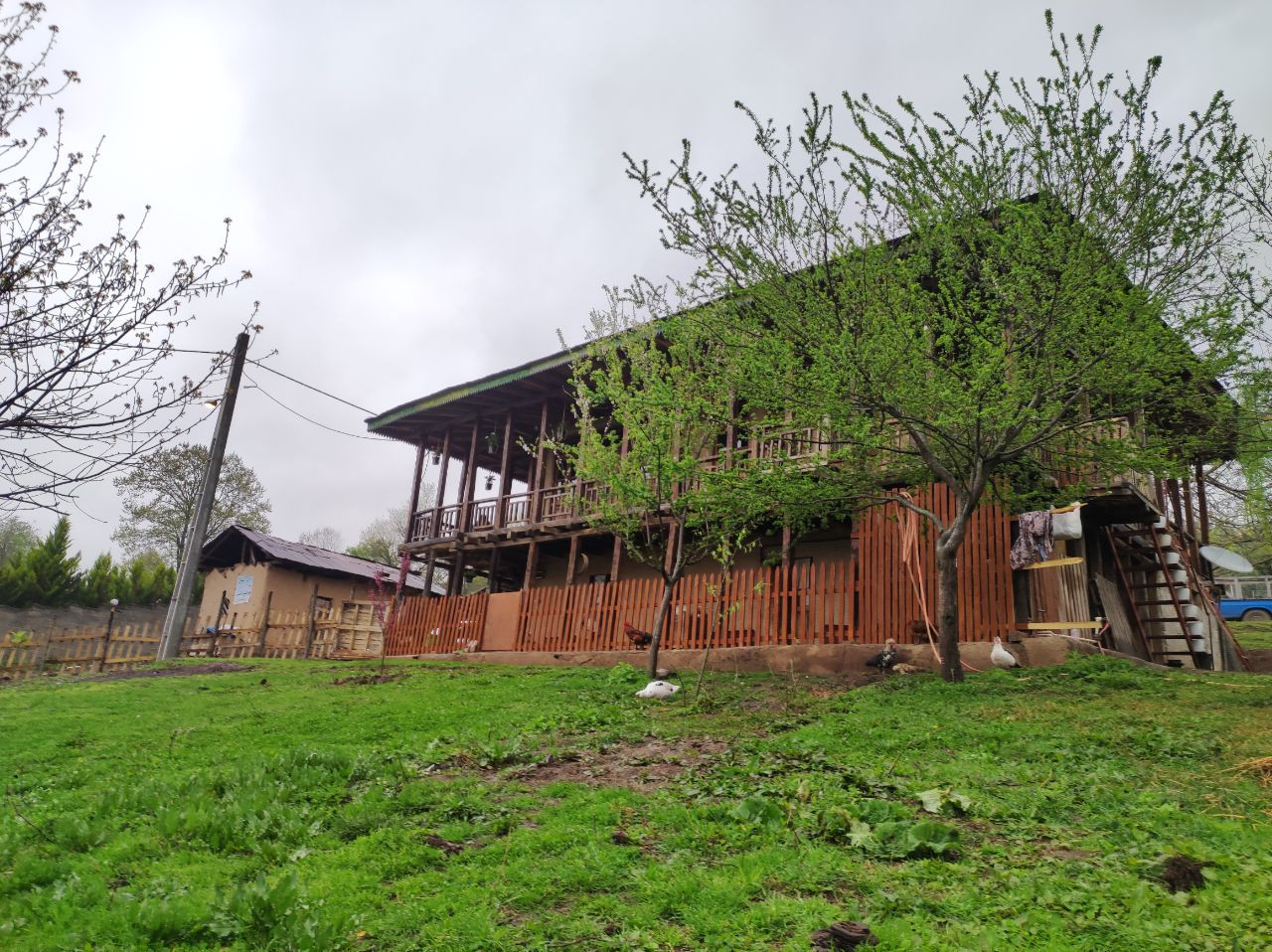 نمای سمت راست