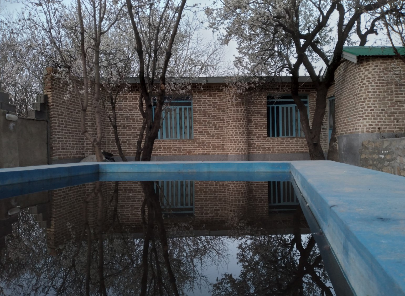 حیاط