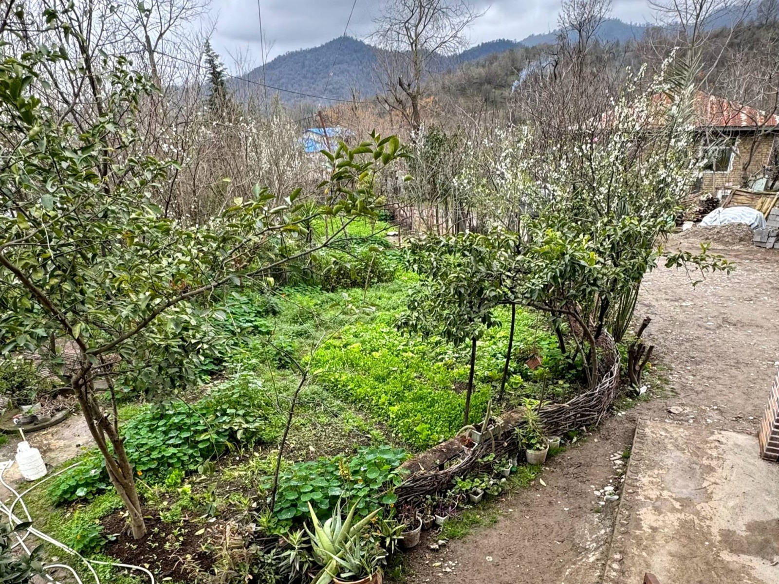 نمای بیرونی ساختمان