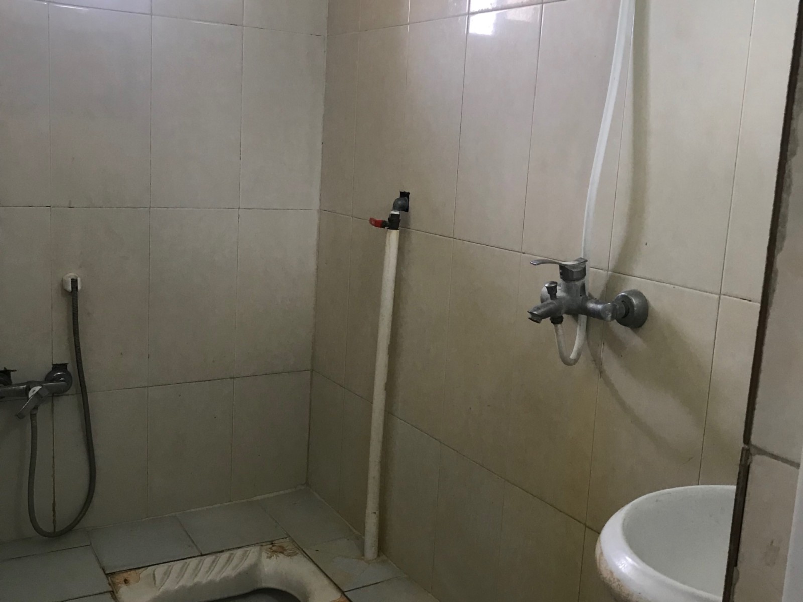 سرویس بهداشتی