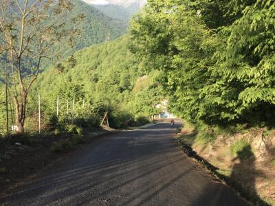 ویلای دو خوابه جنگلی با تراس و چشم‌اندازی دلپذیر