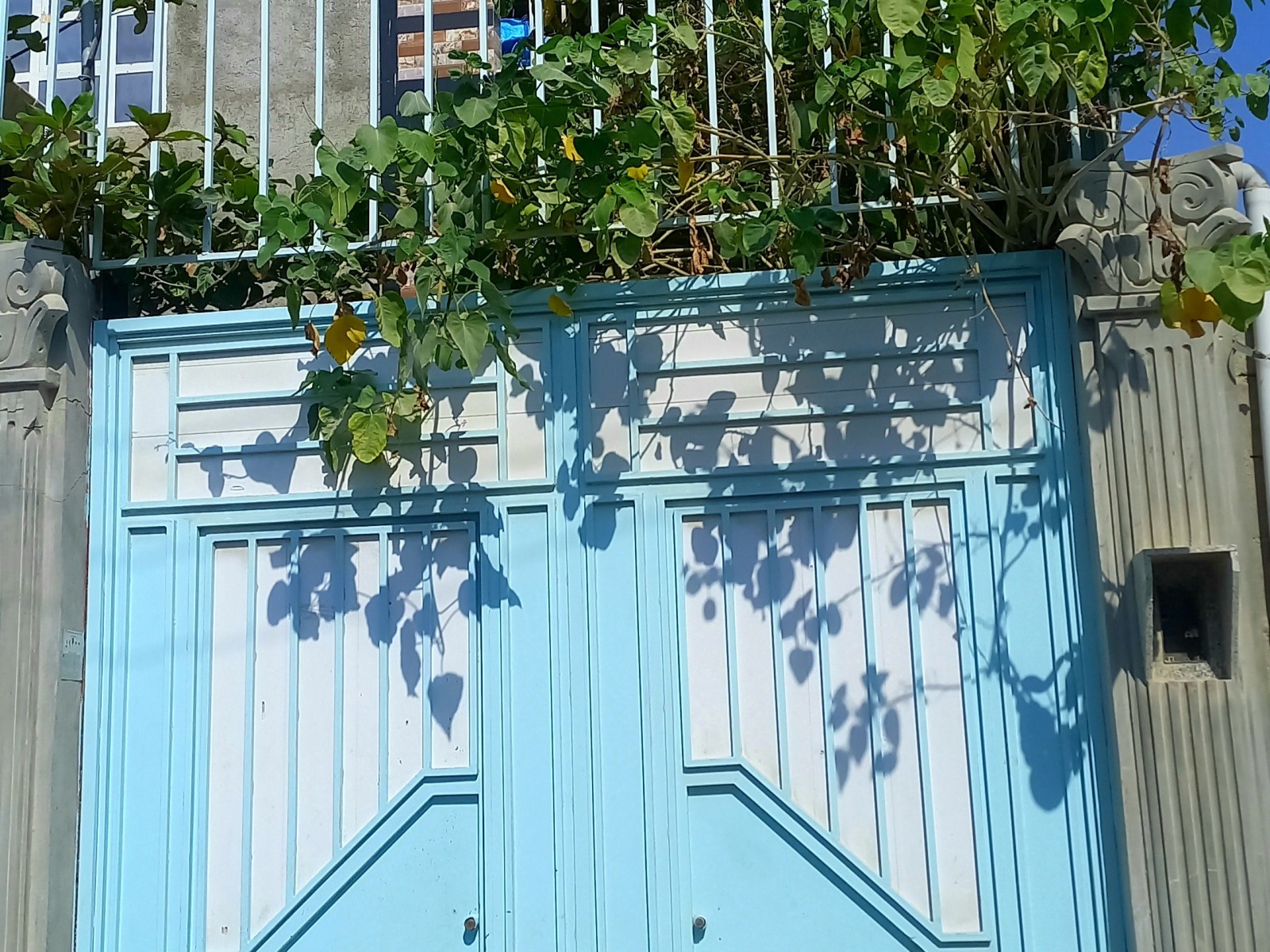 نمای بیرونی ساختمان