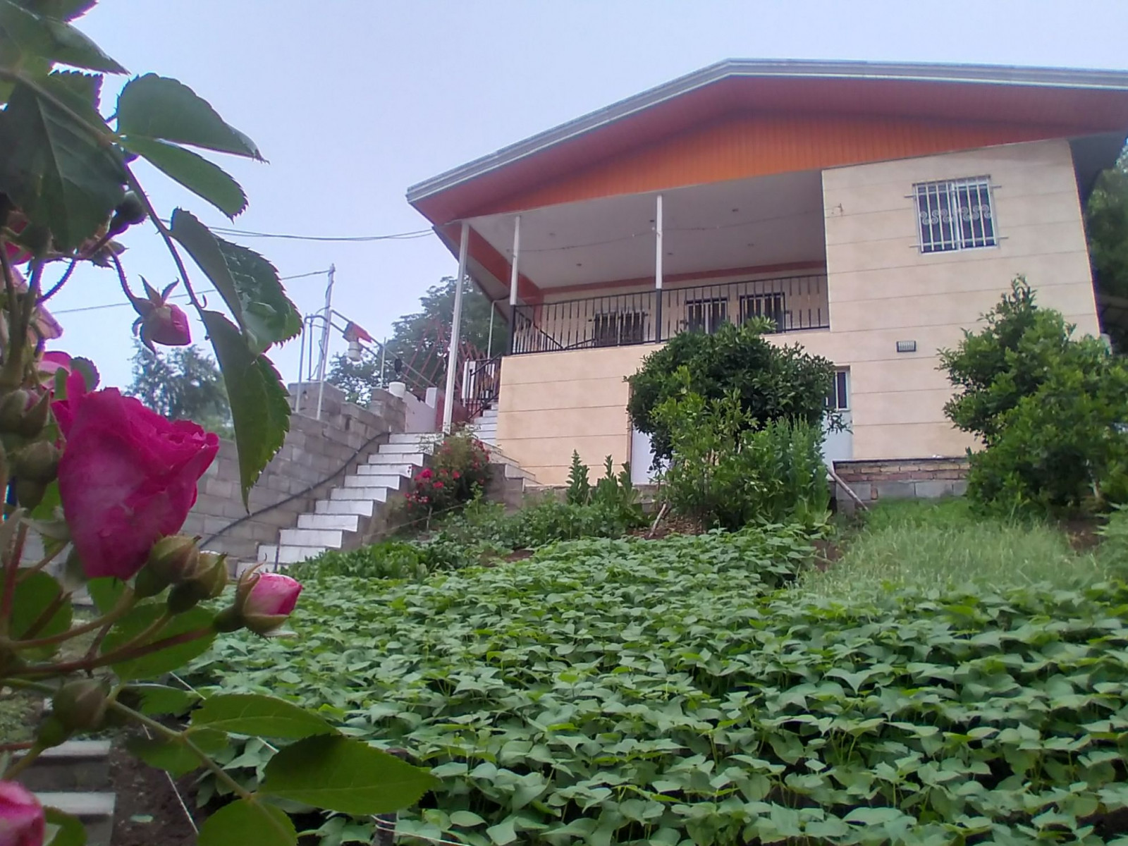 نمای بیرونی ساختمان