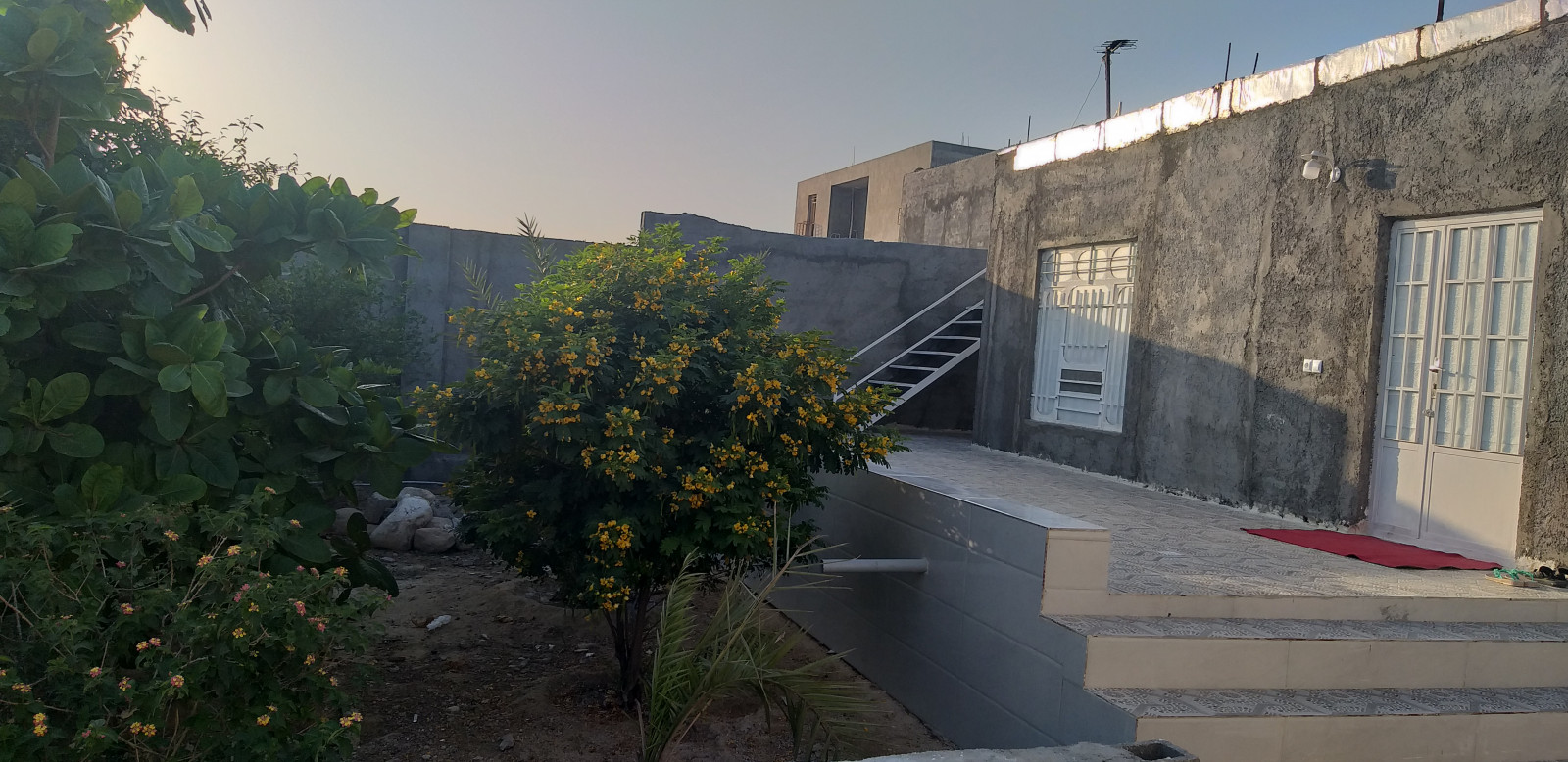 نما