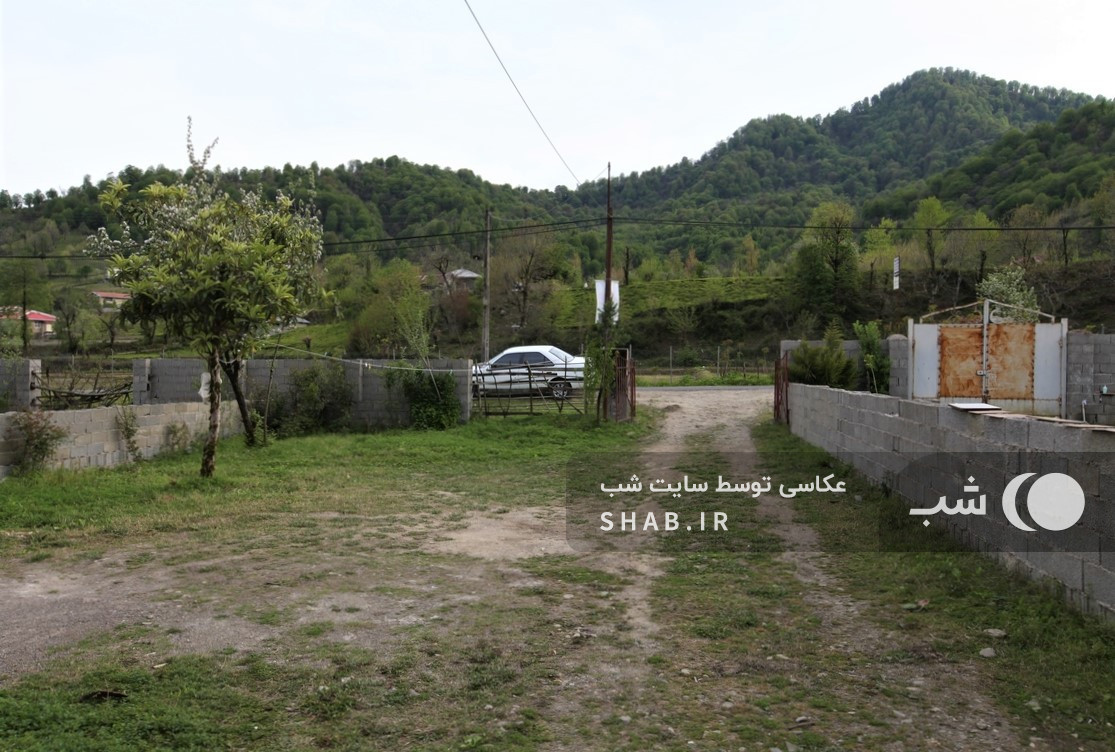 حیاط