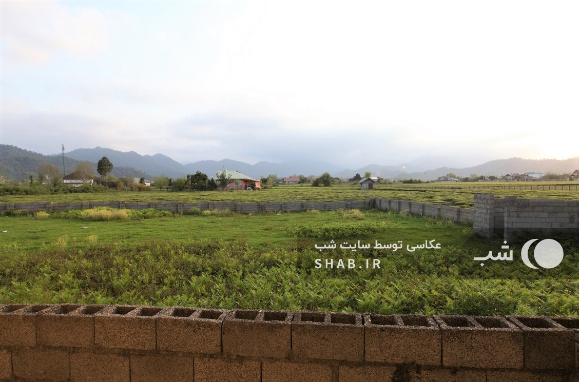 چشم‌انداز واحد