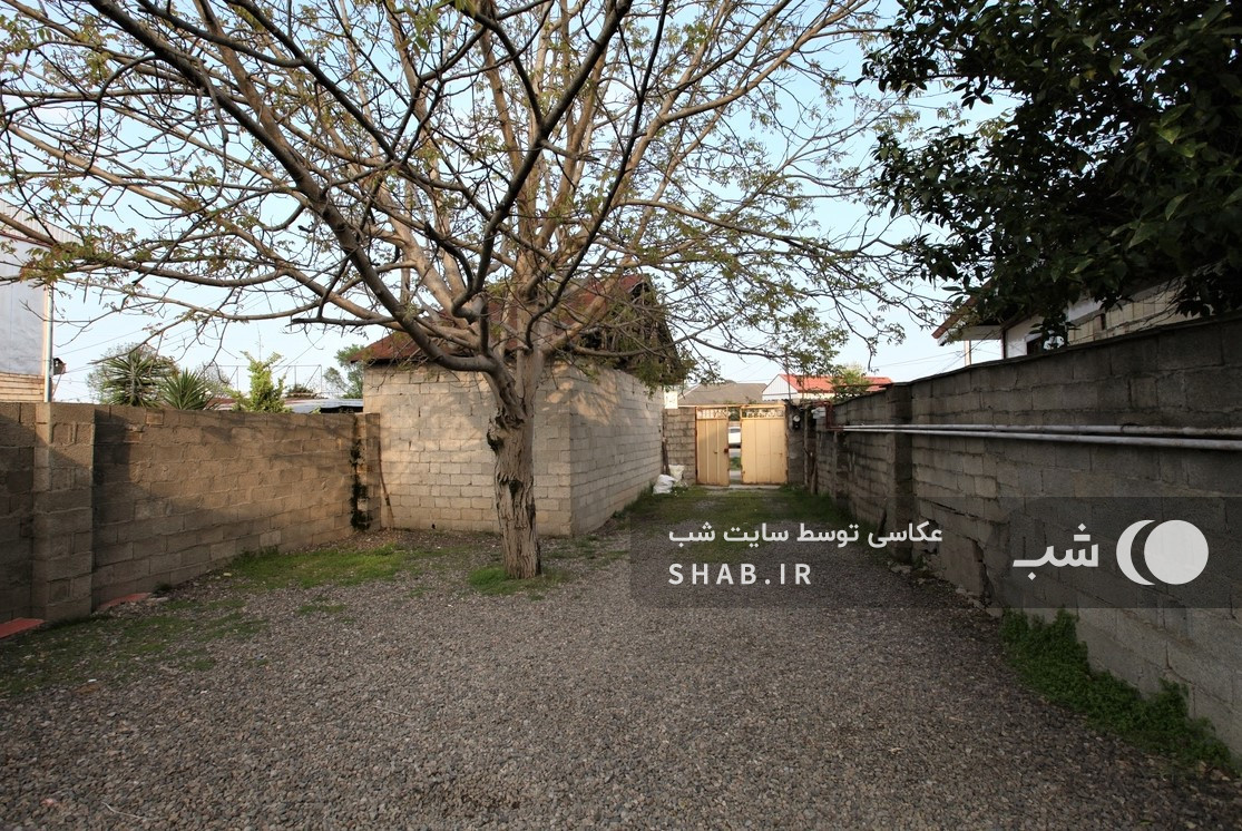 حیاط