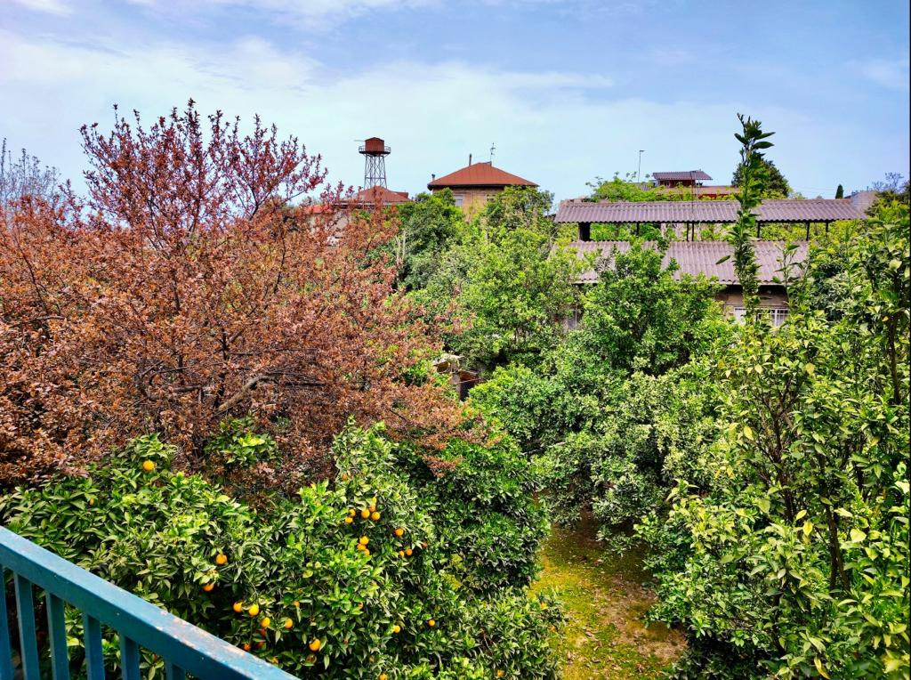 چشم‌انداز تراس