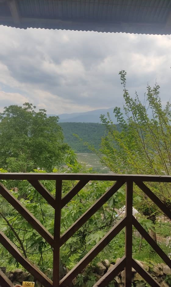 چشمانداز تراس چشمانداز تراس