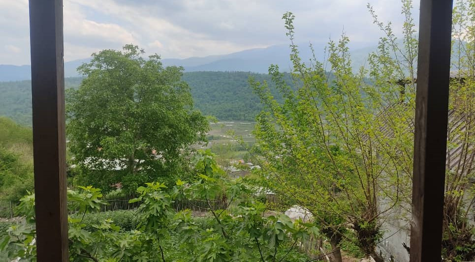 چشمانداز تراس چشمانداز تراس