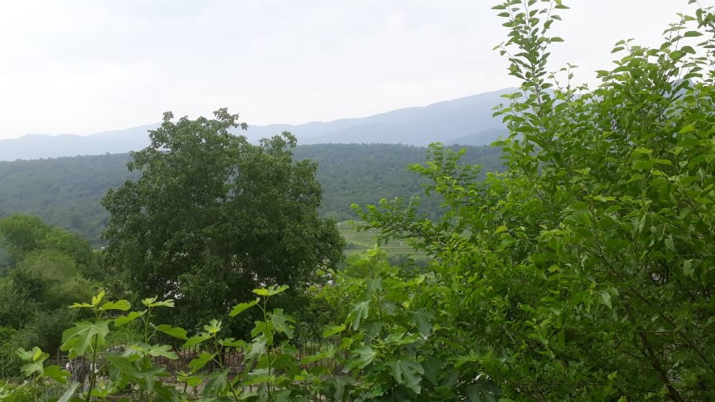 چشمانداز تراس چشمانداز تراس