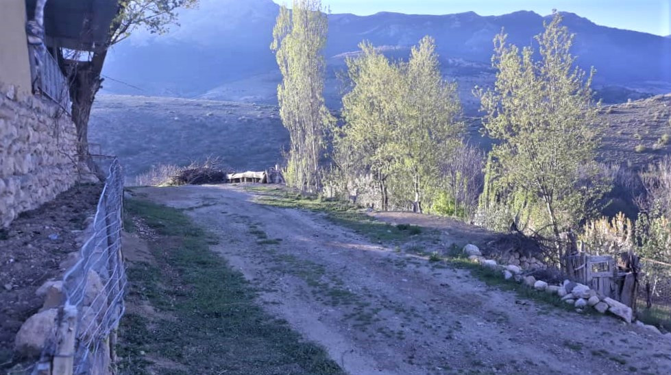 حیاط