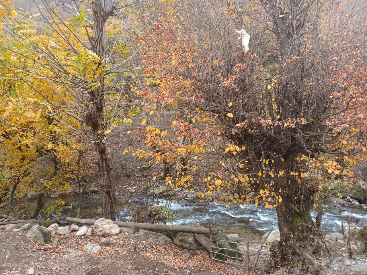 چشم انداز چشم انداز